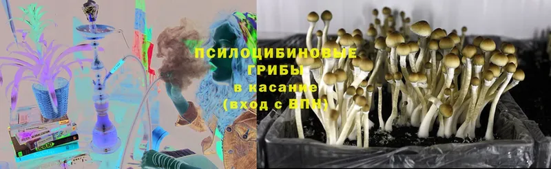 ссылка на мегу ССЫЛКА  Курильск  Псилоцибиновые грибы Magic Shrooms  закладки 